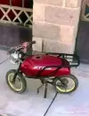1783348892320.webp