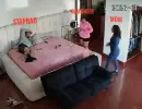 1785285498160.webp