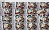 1000847943.webp