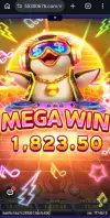 1000003337.webp