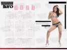 zzup.com (1).webp