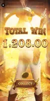 1000003346.webp
