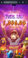 1000003353.webp