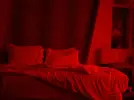 8714.webp