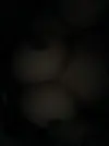 IMG_20260731_074123.webp IMG_20260731_074123.webp
