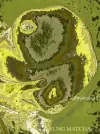 temp_image_20E6ECAA-CFAF-4ED8-92F0-F5E7D9A13783.webp