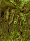 temp_image_70353833-3D5B-499B-8771-FFD765BE8F26.webp