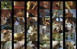 732945818_the_voyeur_9_1997.jpg