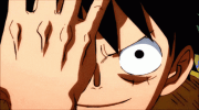 50c5f1847013012ee0f25f67fdddb8d9.gif