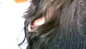 1000049057.webp