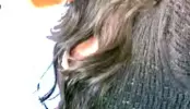 1000049058.webp