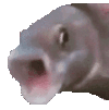 pog-fish.gif