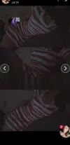 1000082969.webp