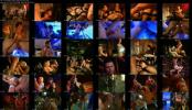 713502629_the_ultimate_fuckers_1998.jpg 713502629_the_ultimate_fuckers_1998.jpg