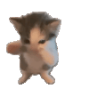 scuba-scuba-cat (1).gif scuba-scuba-cat (1).gif