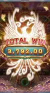 1000004206.webp