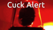 9372.gif