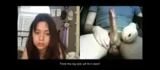 1000027033.webp