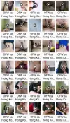 S0uth K0rea Viral ~ OFW sa Hong Kong.webp
