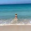 1786216420738.webp