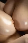 tcg8q3k2md.webp