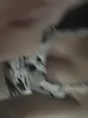 SaveClip.App_670006556_18092944916469670_8912498912096966482_n.jpg.webp