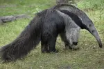 IMG_2501.webp