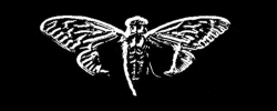 cicada3301-glitch.gif