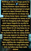 IMG-8f17a3913f619d4805419c269f2bdee8-V.webp