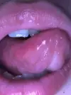43285.webp