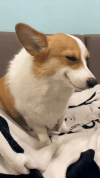 alldagoomyo_20260726_203947_527(1).gif