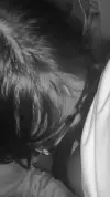 videoframe_18031.webp