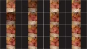 ufuniit6lsbd_xt.webp