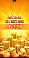 1000020416.webp 1000020416.webp