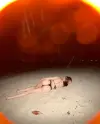 20260821_002829.webp