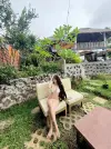 SnapInsta.to_613557762_18302523481282006_970794696839020087_n.webp