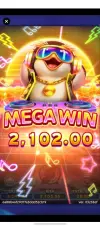1000006150.webp
