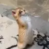 1000040375.webp 1000040375.webp