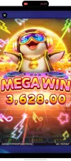 1000006204.webp