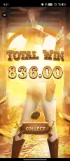 3562.webp