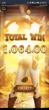 1000006256.webp