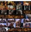 Bounce_Movie_Compilation_720_s.jpg