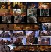 Bounce_Movie_Compilation_1080_s.jpg