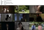 Door to the Night (2013).webp