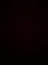 1787856044335.webp