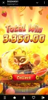 1000006383.webp