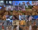 743028327_perverted_stories_9.jpg