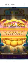 1000007064.webp