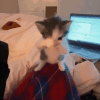 1000006557.gif