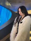 流星雨搬运.10.webp